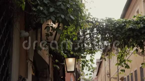 历史名城街道房屋间绿色常青藤的特写视频的预览图
