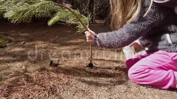 小女孩种树视频的预览图