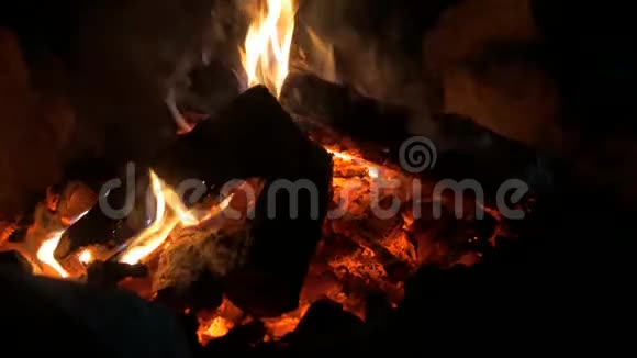 晚上的篝火晚会视频的预览图