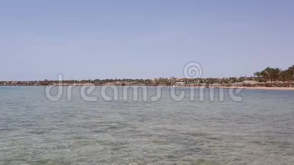 在埃及有雨伞和太阳床的海滩视频的预览图
