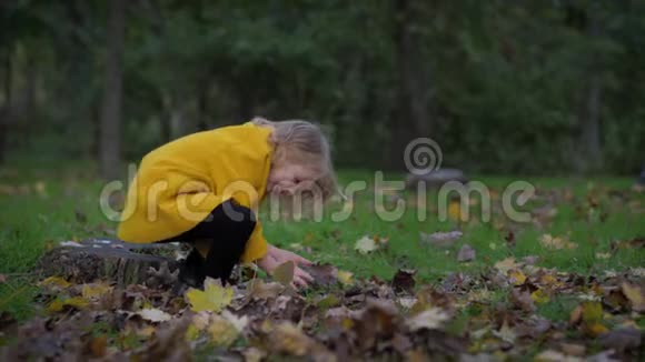 迷人的女孩子在秋天公园的草坪上玩得很开心到处都是树叶在户外放松视频的预览图