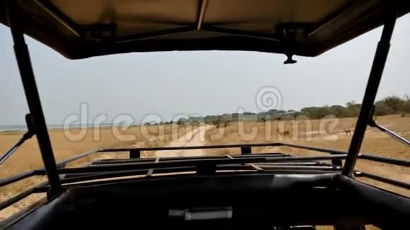 从非洲热带草原野生动物的公路上行驶的狩猎车上可以看到风景视频的预览图
