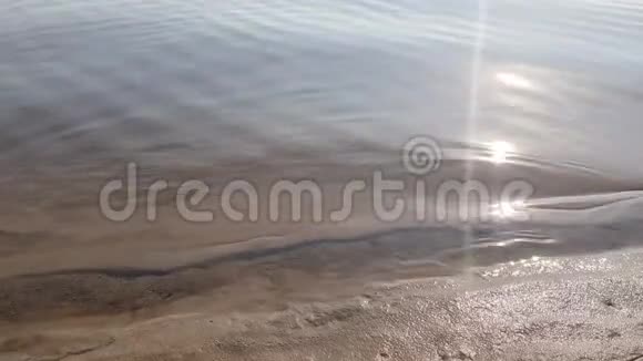 沙岸附近一条透明河流平静的波浪视频的预览图