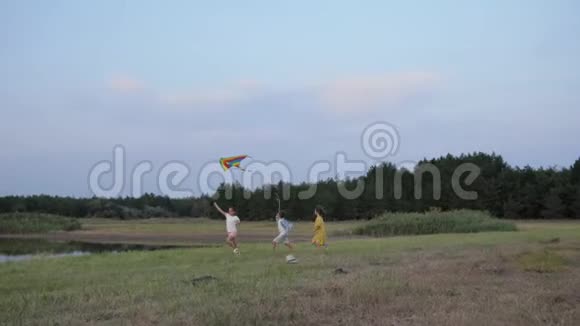 玩风筝活跃的孩子们在草地上奔跑在湖和树的背景下玩玩具视频的预览图