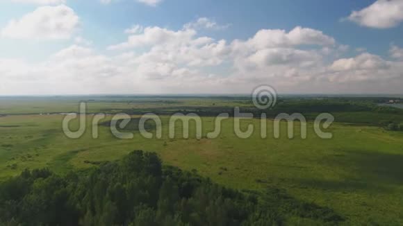 大自然从上面绿色的草地河流蓝天白云视频的预览图