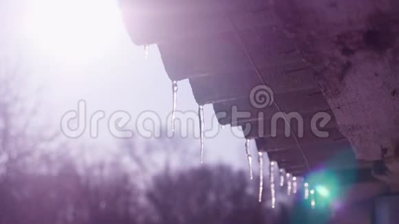 融化的冰柱和滴水在阳光下视频的预览图
