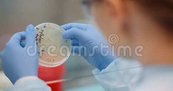 实验室检查培养皿中冠状病毒和细菌的科学家视频的预览图