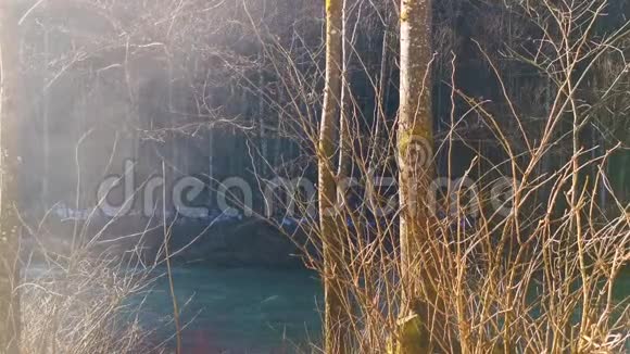 有突出的树木和河流的藤壶视频的预览图