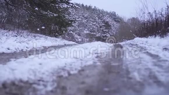 白雪覆盖的树木中间的道路视频的预览图