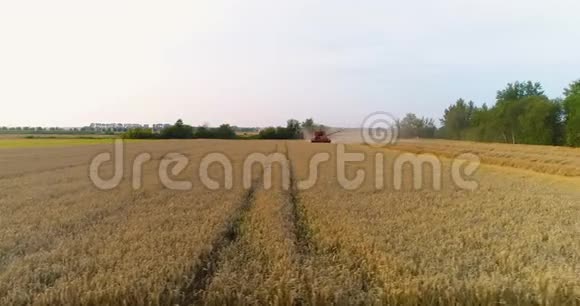 农业联合收割机收割小麦视频的预览图