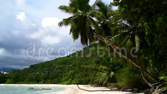 海浪和棕榈树巴伊拉扎尔海滩马河岛塞舌尔视频的预览图