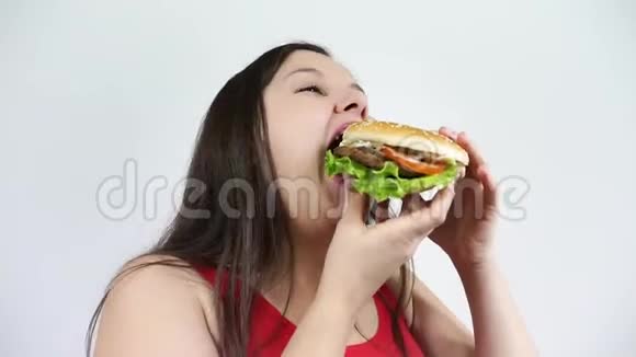 肥胖的女人喜欢吃汉堡包胖女孩垃圾食品和微笑视频的预览图