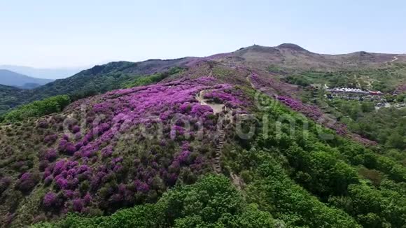 黄梅山鸟瞰汉川庆南韩国亚洲视频的预览图