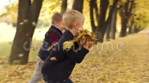 在秋天的公园里两个快乐的男孩向他们的母亲扔黄叶视频的预览图