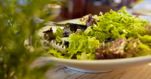 意大利食品几种新鲜沙拉和蔬菜在盘子里视频的预览图