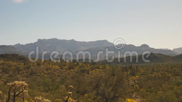 亚利桑那州索诺兰沙漠仙人掌的开阔视野视频的预览图