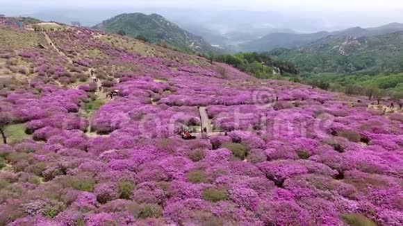 黄梅山鸟瞰汉川庆南韩国亚洲视频的预览图
