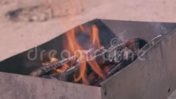 春天是野餐和烧烤的时候了点燃户外烹饪用的木柴视频的预览图