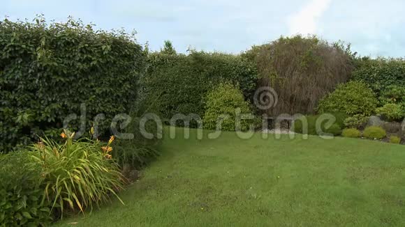 篱笆之间花园里的小草坪视频的预览图