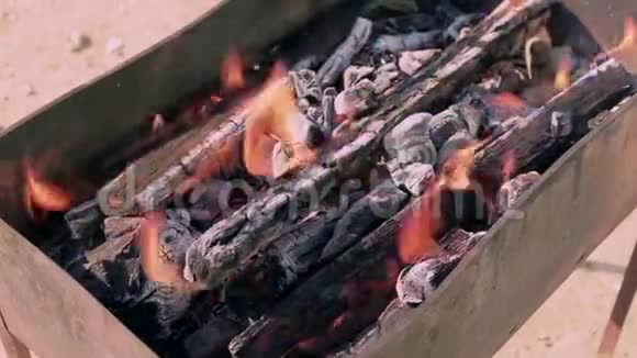 春天是野餐和烧烤的时候了点燃户外烹饪用的木柴视频的预览图