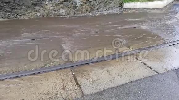 雨后洪水视频的预览图