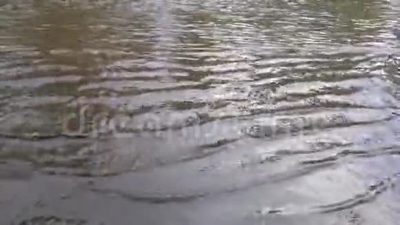 雨后洪水视频的预览图