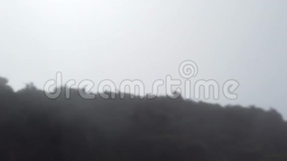 雾中的离焦树木慢慢地集中在阴天视频的预览图