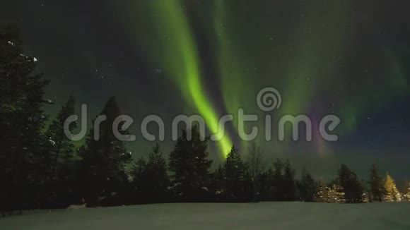 芬兰拉普兰树上北光的时间推移视频的预览图