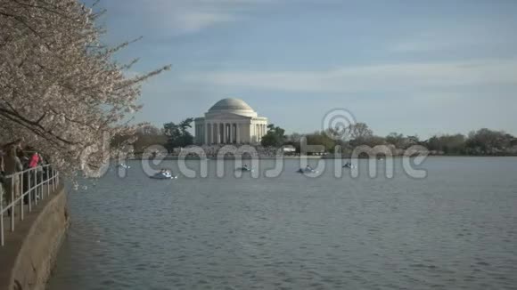 与杰斐逊纪念碑一起在潮汐盆地上划桨视频的预览图