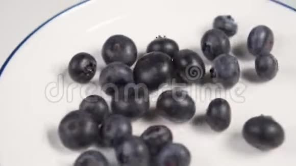 一堆蓝莓放在蓝色边框的白色盘子上一个人摇着盘子浆果在不同的方向滚动视频的预览图