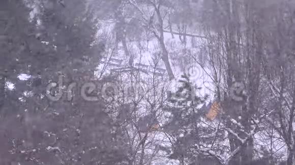 雪地游乐场暴风雪冬季场景暴风雪公园第一次降雪孩子们快乐视频的预览图