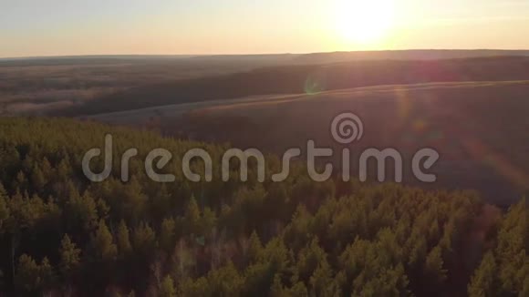 鸟瞰日落时美丽的秋林绿松树山峦叠嶂山峦叠翠视频的预览图