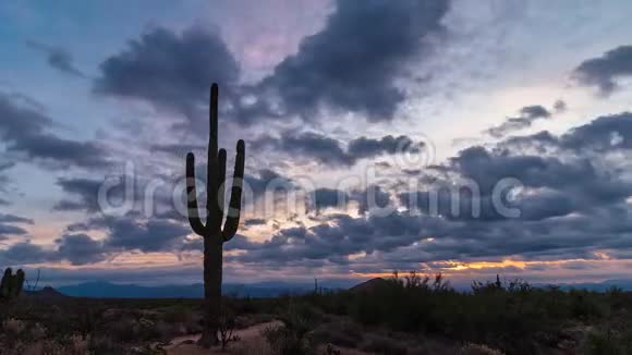亚利桑那州沙漠景观随着仙人掌的流逝视频的预览图