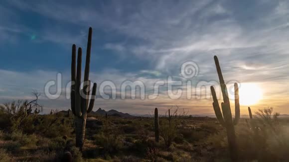 凉爽的沙漠景观日落时间随云和仙人掌而逝视频的预览图