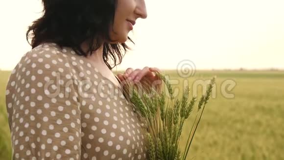 女孩手里拿着成熟的麦穗用手指在田野里轻轻地抚摸着它们视频的预览图