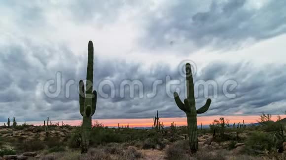 亚利桑那州沙漠景观天空之火日落时间流逝视频的预览图