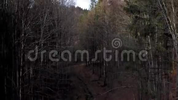 山林上方航拍视频视频的预览图