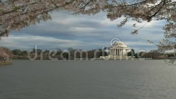 杰斐逊纪念碑和樱花晚景视频的预览图