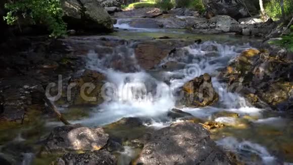 在晴朗的天气里有清澈的水的山溪饮用水概念视频的预览图