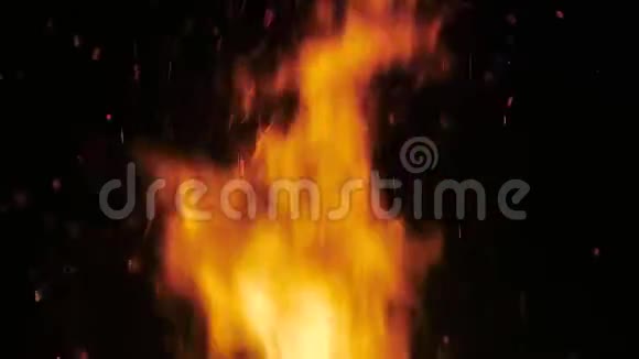 黑色背景下熊熊燃烧的篝火视频的预览图