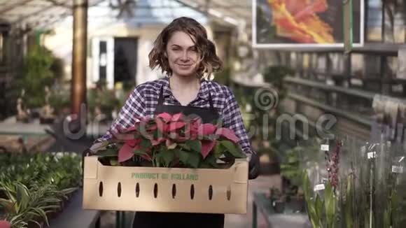 美丽的欧洲微笑的女园丁穿着格子衬衫和黑色围裙手里拿着装有粉红色花草的纸盒视频的预览图