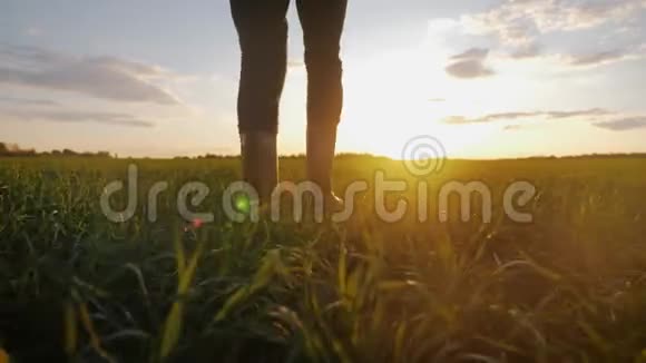 农夫带着橡胶靴沿着绿色的田野走工作用橡胶靴一个工人带着他的橡胶靴在日落时分走视频的预览图