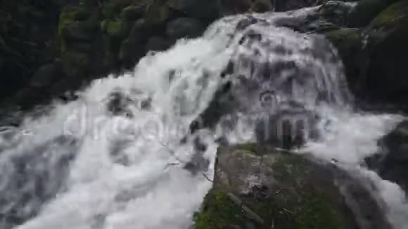 春天瀑布流过岩石美丽的森林视频的预览图