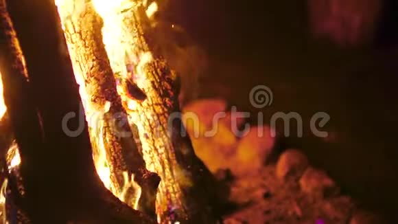 黑色背景下熊熊燃烧的篝火视频的预览图