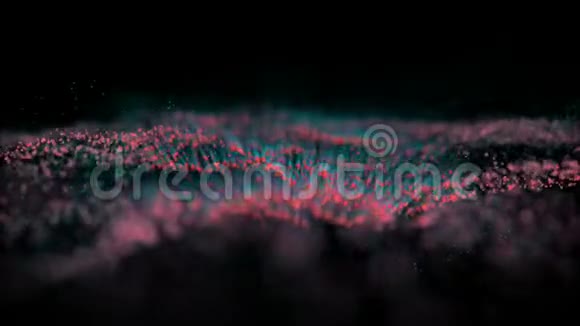 高科技数码玫瑰花的移动与形成领域视频的预览图