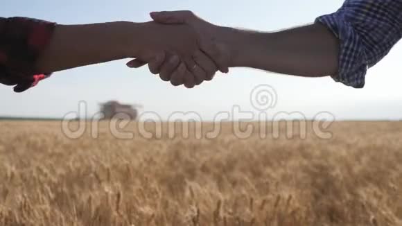 农民们在收割的时候与小麦作物握手伙伴关系概念视频的预览图