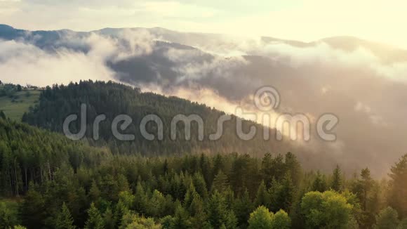 在山上的森林上空俯瞰云层视频的预览图
