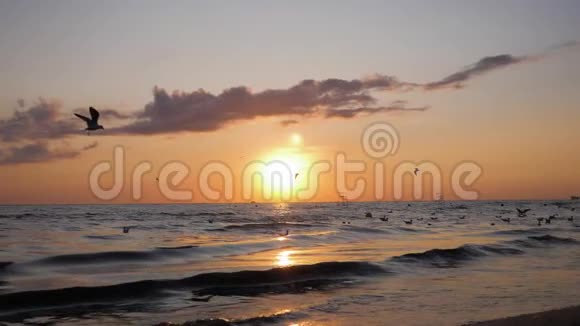 日落时海浪在海上阳光反射在水面上自然海洋背景夏季概念视频的预览图