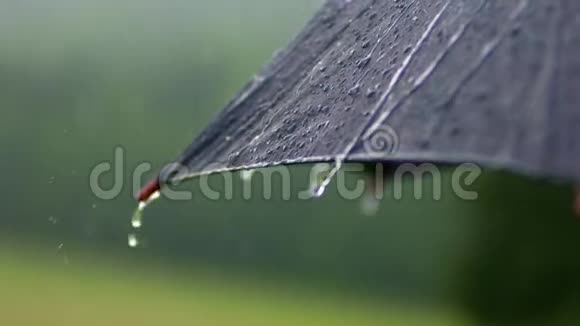 关上落在伞上的雨滴视频的预览图