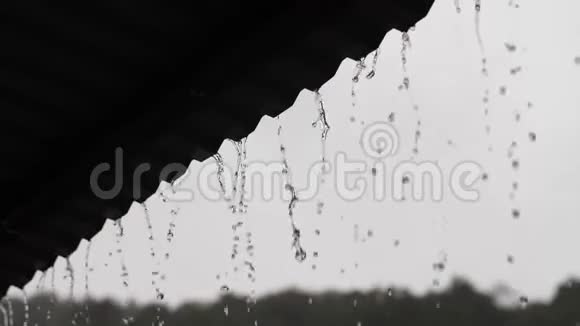 雨从屋顶降下来视频的预览图